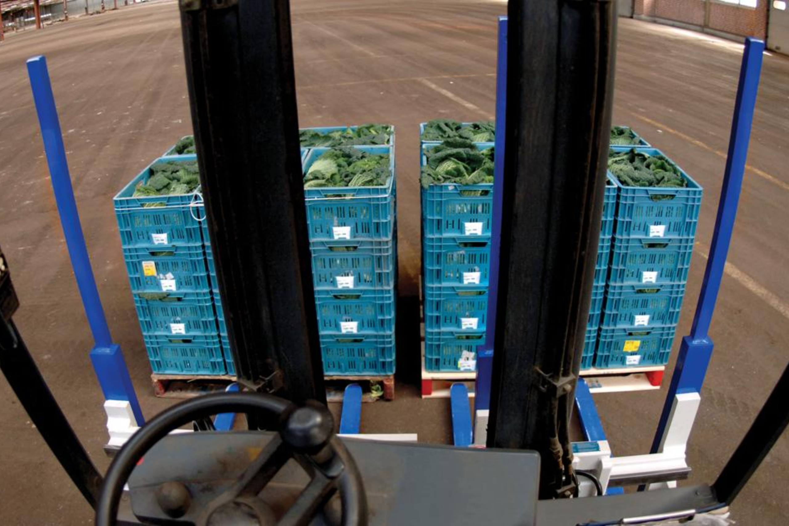 CASCADE SINGLE-DOUBLE-PALLET HANDLER